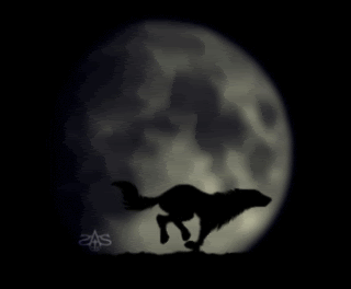 wolf running moon animated gif